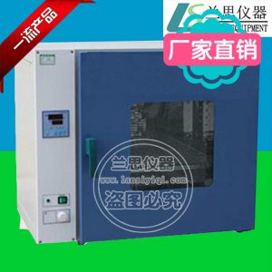 電熱鼓風干燥箱_湖南烘箱干燥箱廠家供應恒溫鼓風干燥箱工業烘箱批發